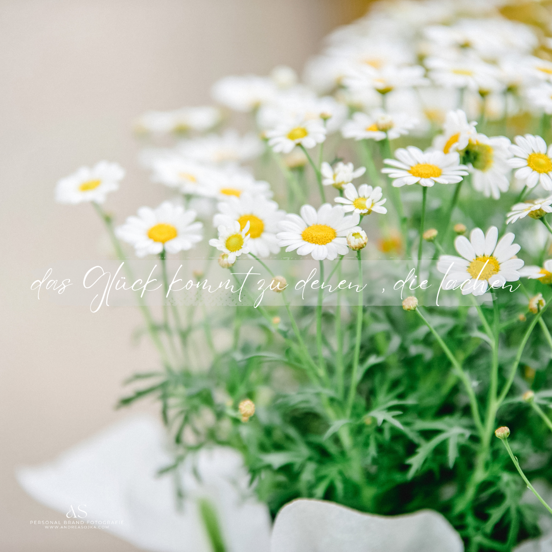 Blumenfoto mit Spruch