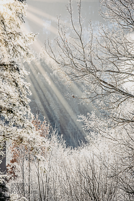 naturfoto andrea sojka