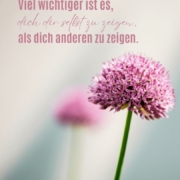 zeig dich dir selbst