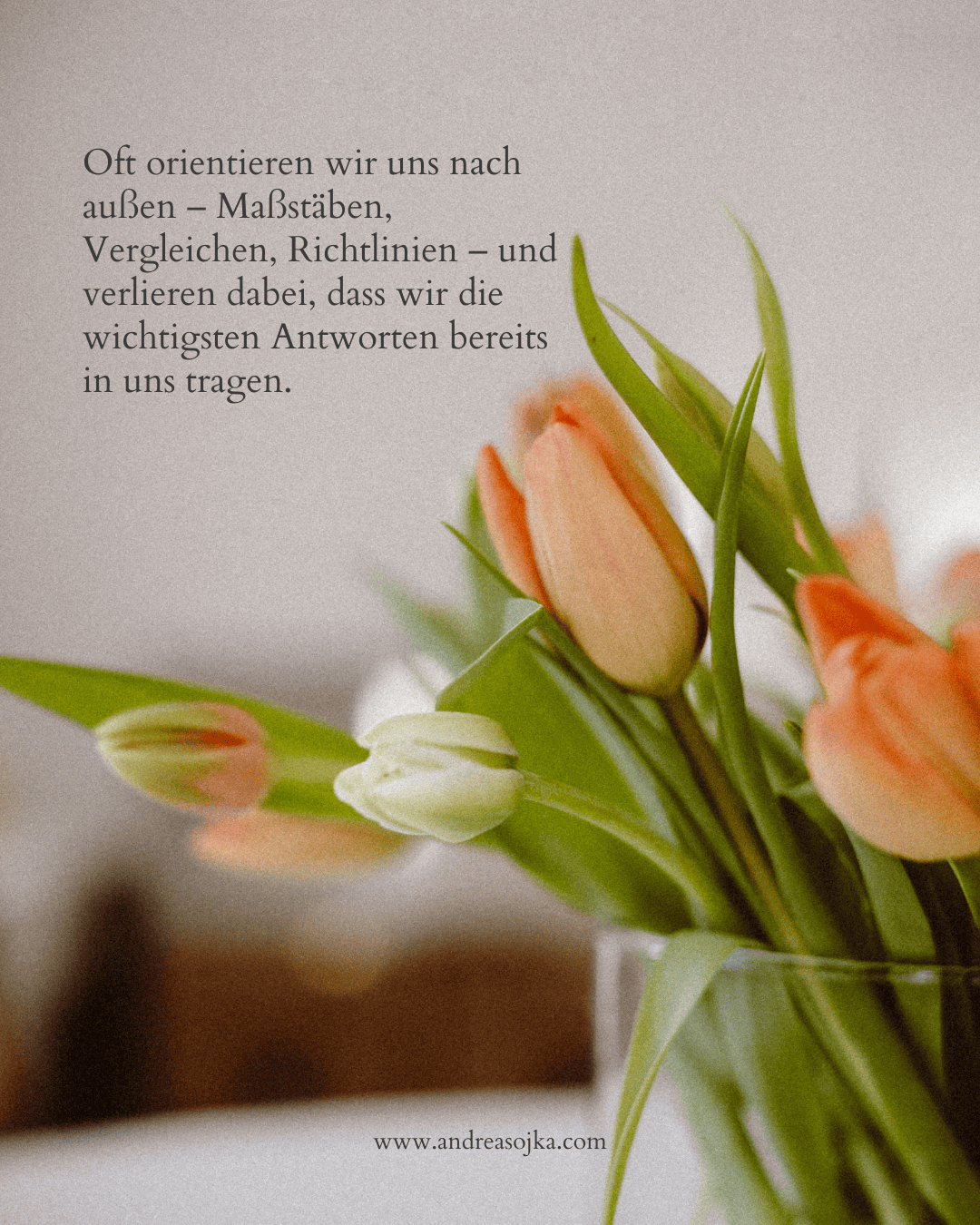 body code3 Fotografie und Energiearbeit, Büro Andrea sojka