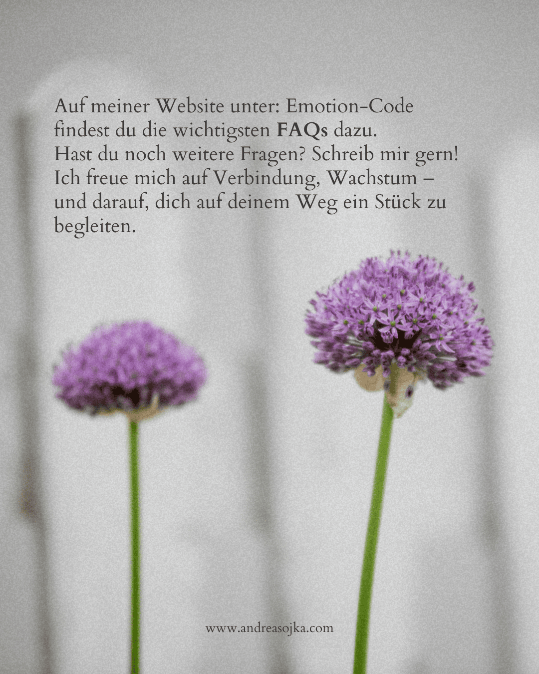 body code5 Fotografie und Energiearbeit, Büro Andrea sojka