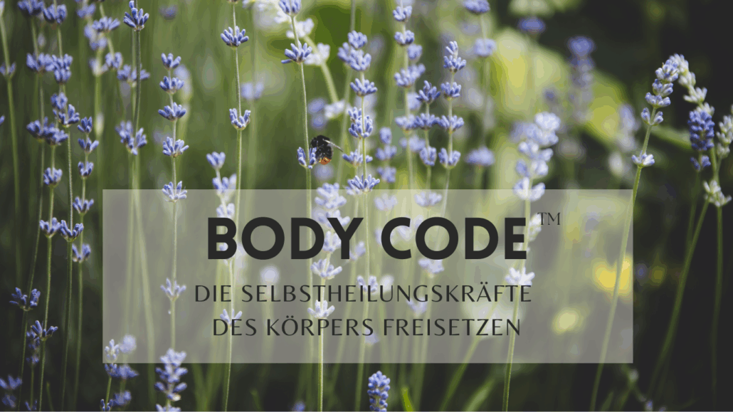 Body Code Energiearbeit