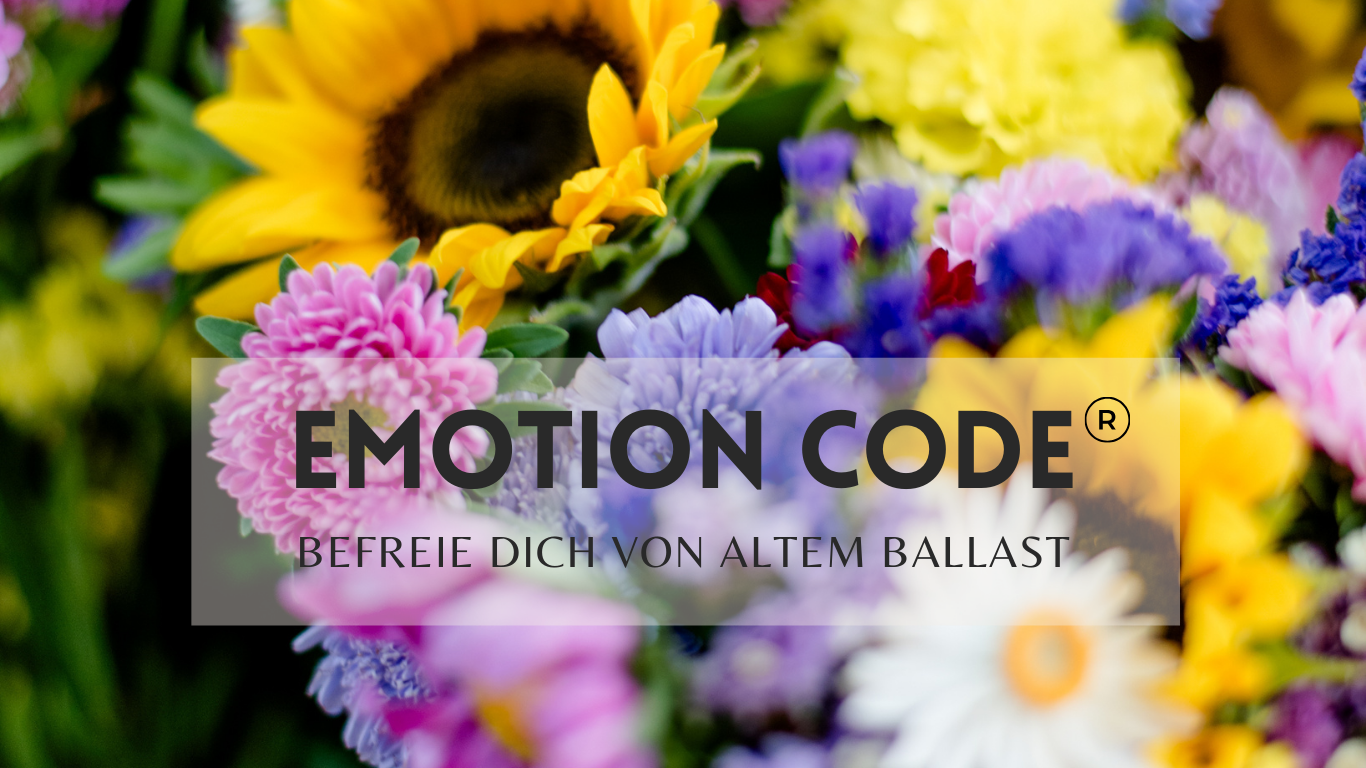 Emotion Code Angebot