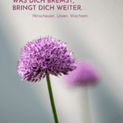 bremst body code - was bremst, bringt dich weiter