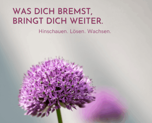 Nahaufnahme einer violetten Allium-Blüte mit dem Text: Was dich bremst, bringt dich weiter. Hinschauen. Lösen. Wachsen.