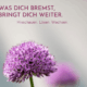 Nahaufnahme einer violetten Allium-Blüte mit dem Text: Was dich bremst, bringt dich weiter. Hinschauen. Lösen. Wachsen.