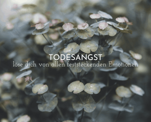Blogbeitrag Todesangst und Body code