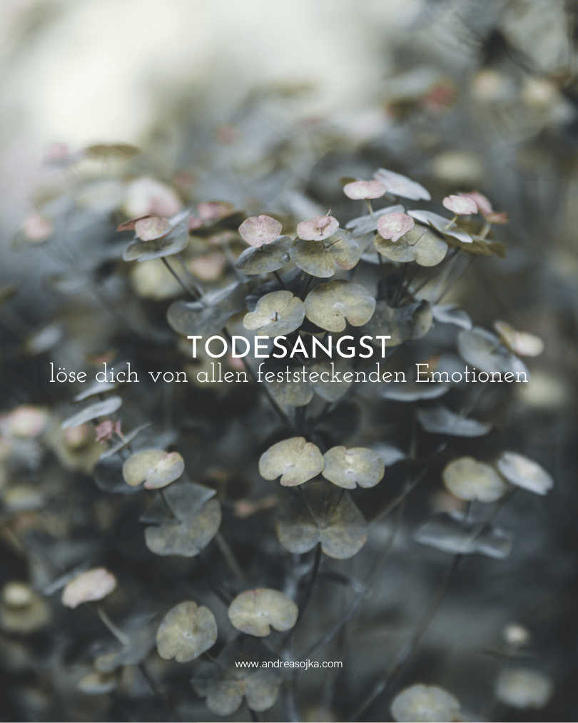 Blogbeitrag Todesangst und Body code